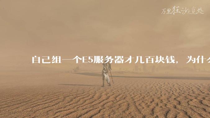 自己组一个E5服务器才几百块钱,为什么去阿里云租这么贵?