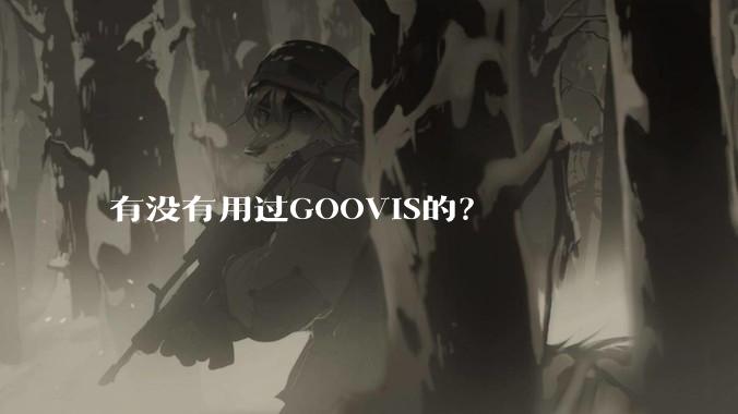 有没有用过GOOVIS的?