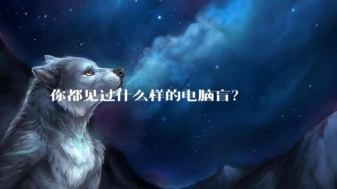 你都见过什么样的电脑盲?