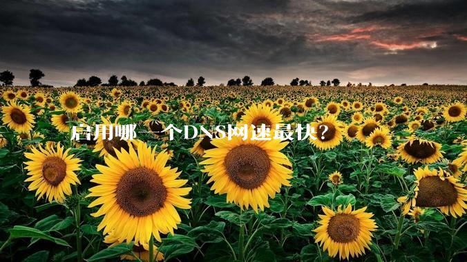 启用哪一个DNS网速最快?
