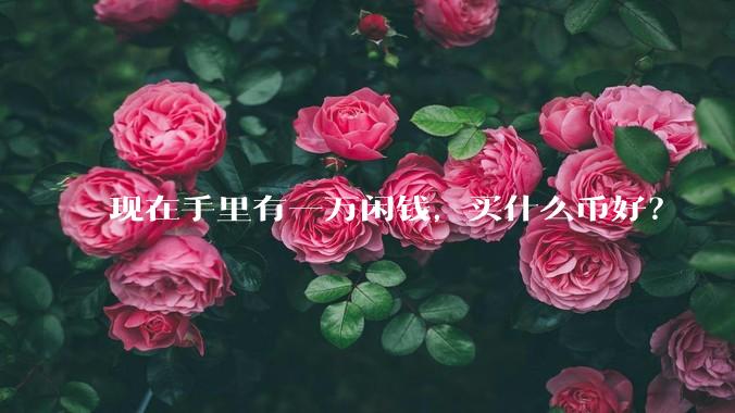 现在手里有一万闲钱,买什么币好?