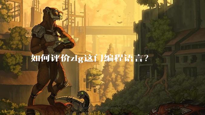 如何评价zig这门编程语言?