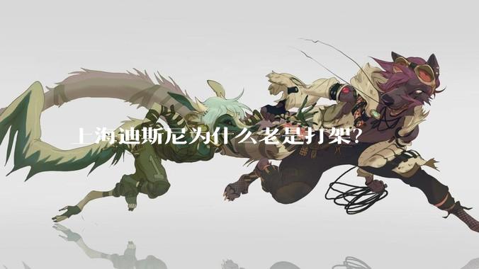 上海迪斯尼为什么老是打架?